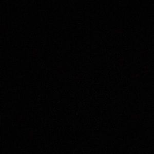 Meet your Posher, Ava